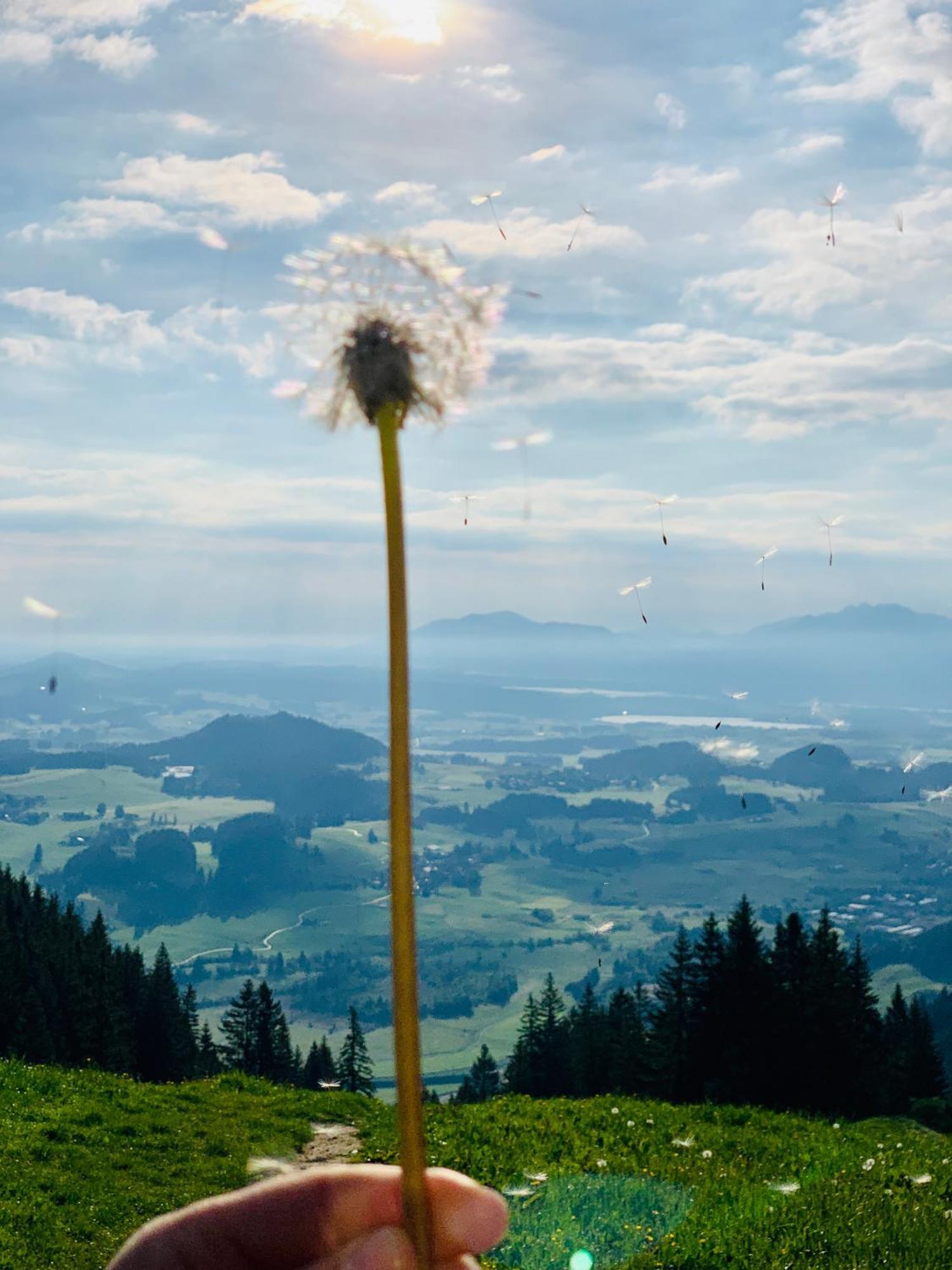 Ferienhaus Sommer Pfronten Exteriör bild