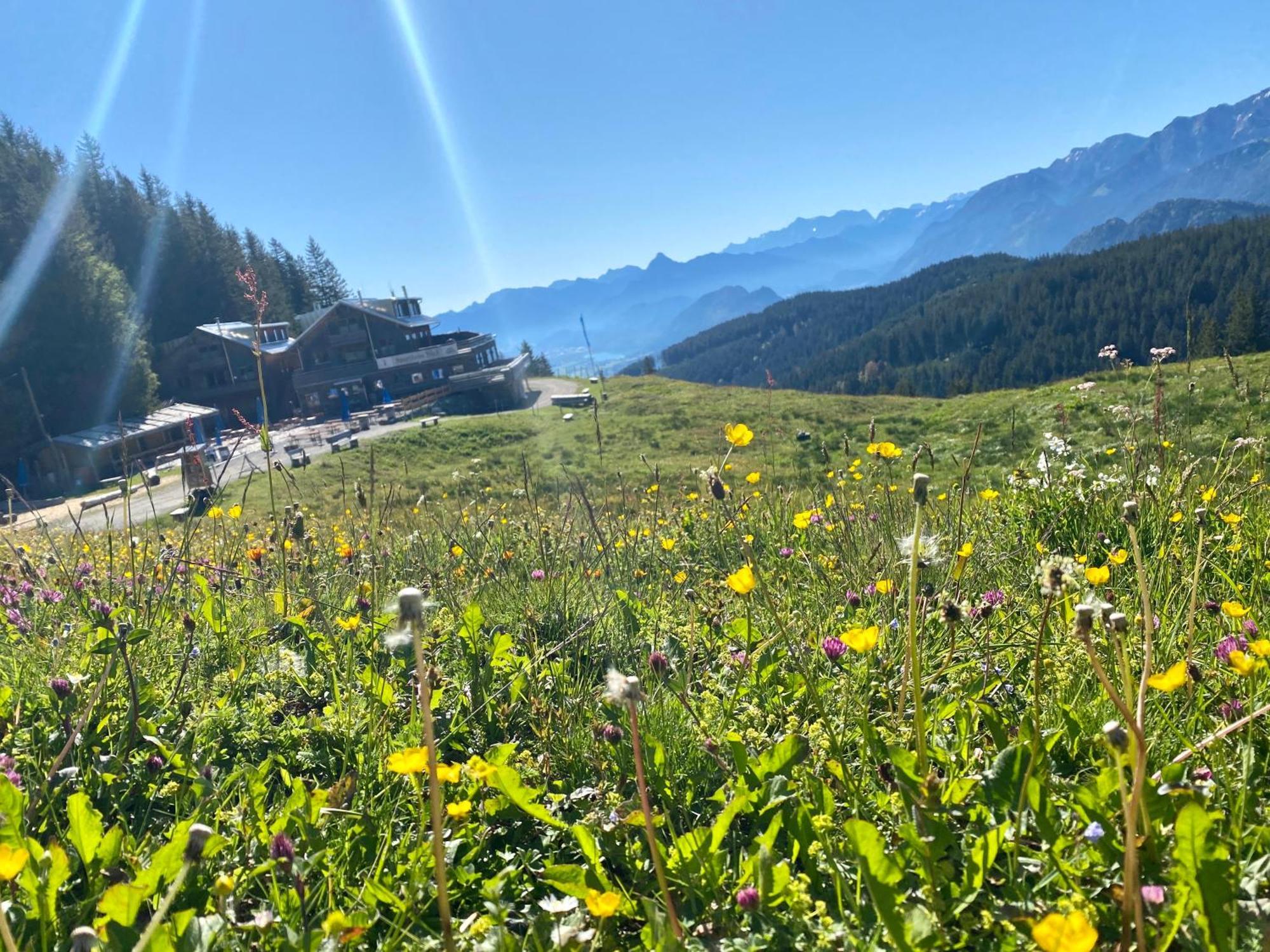 Ferienhaus Sommer Pfronten Exteriör bild