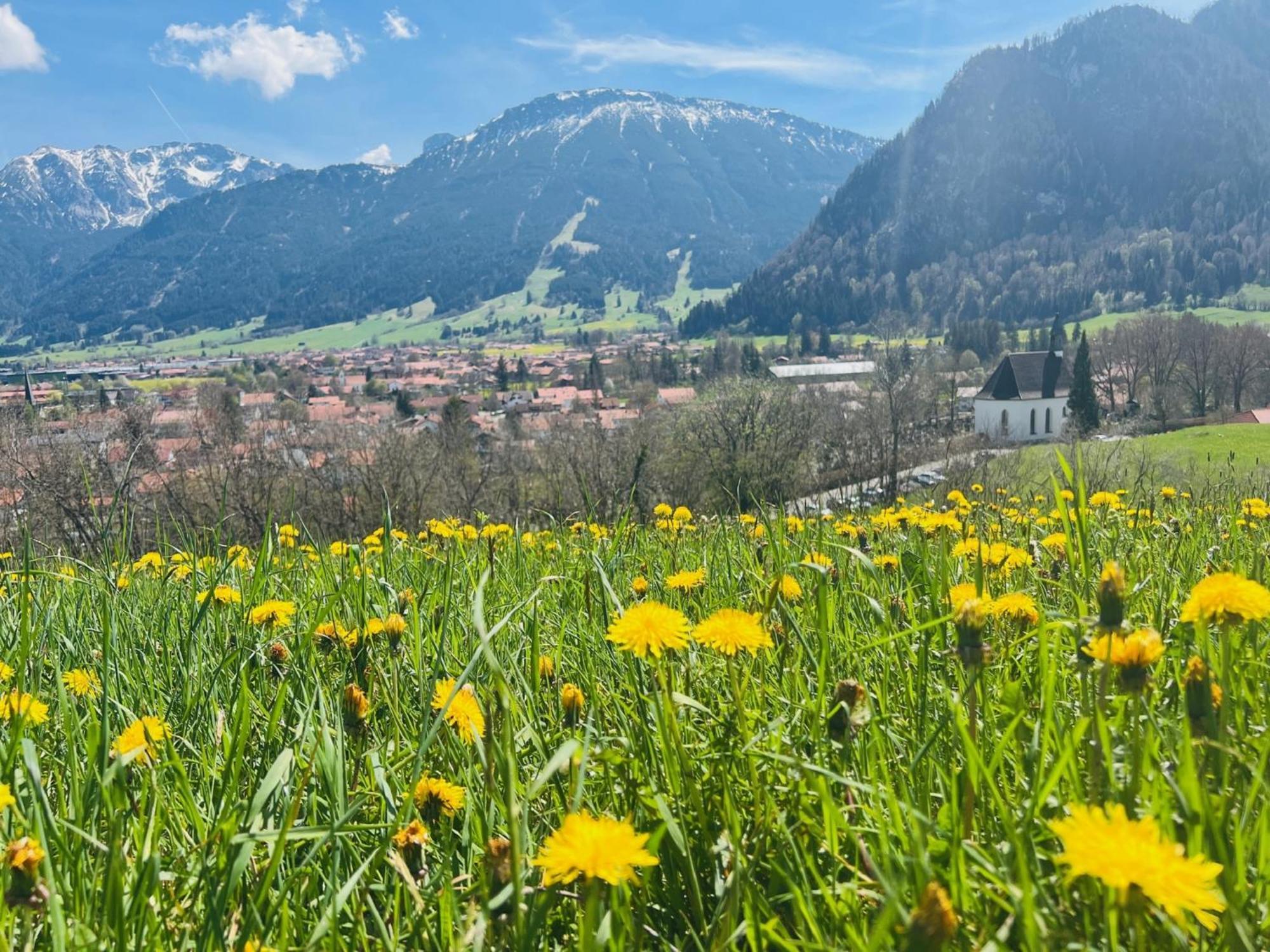 Ferienhaus Sommer Pfronten Exteriör bild